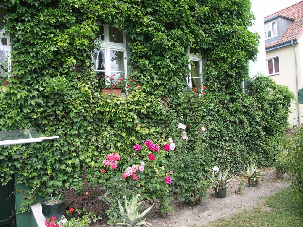 3 Sterne Hotel Frankfurt-Oder Zur Alten Oder Франкфурт/Одер Экстерьер фото